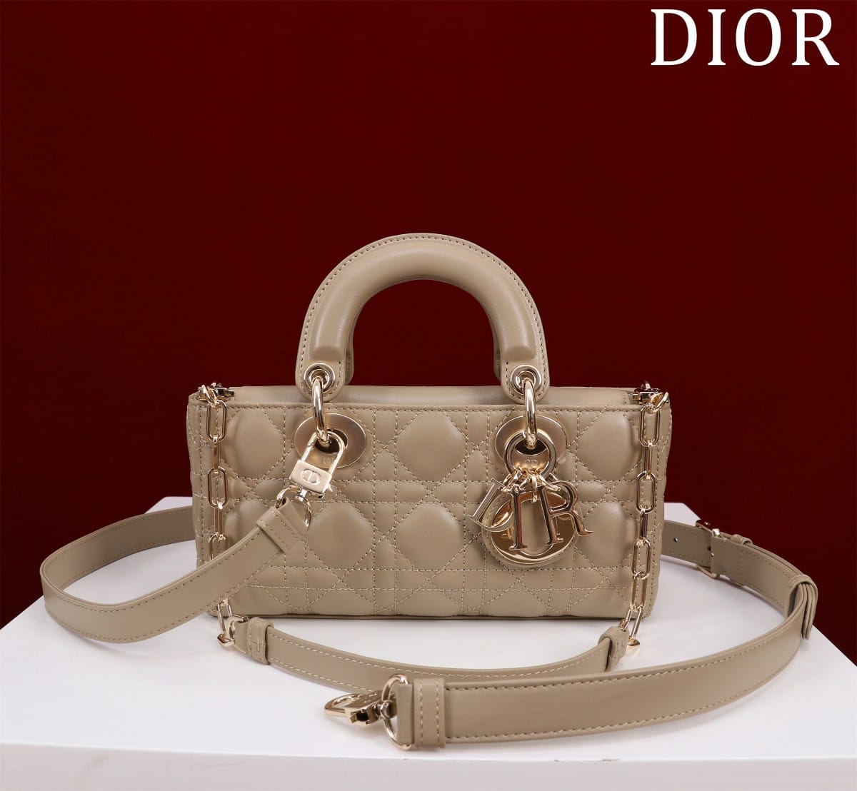 Dior Medium Lady D-Joy Bag