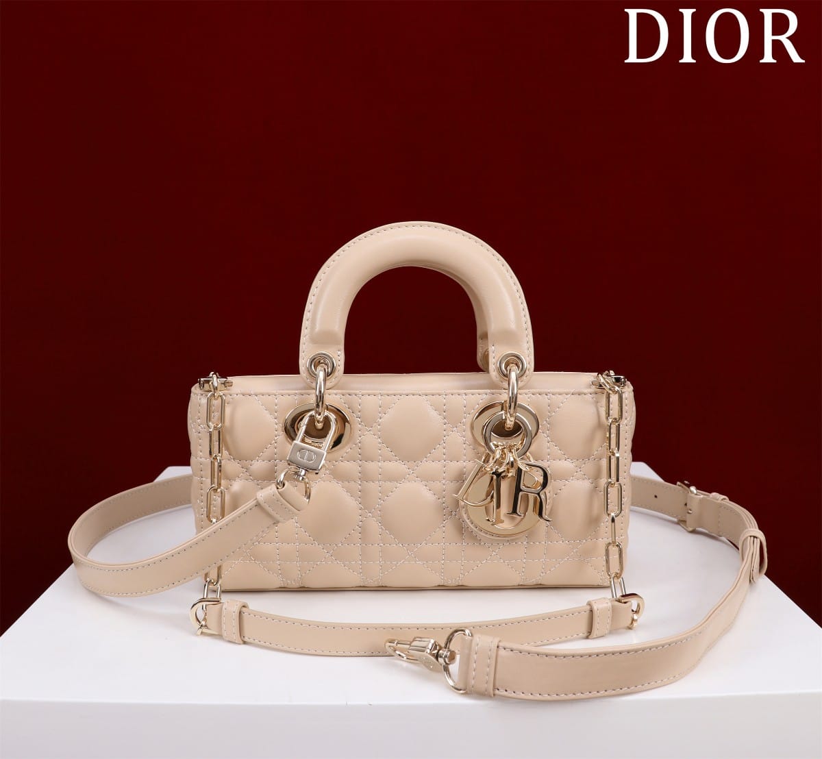 Dior Medium Lady D-Joy Bag